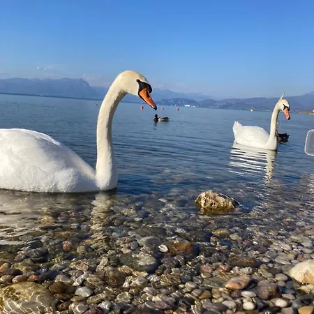 Garda Art&lake פסקיארה דל גארדה